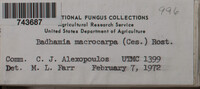 Image Associated With the Occurence
